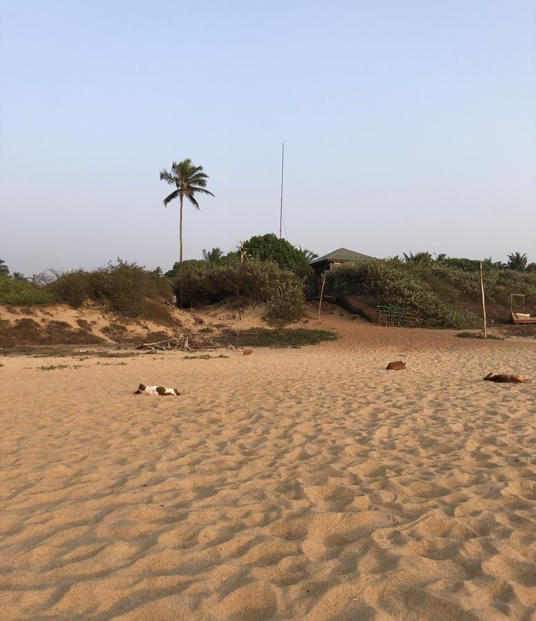 Peravel Beach Holiday Home Candolim Exterior photo